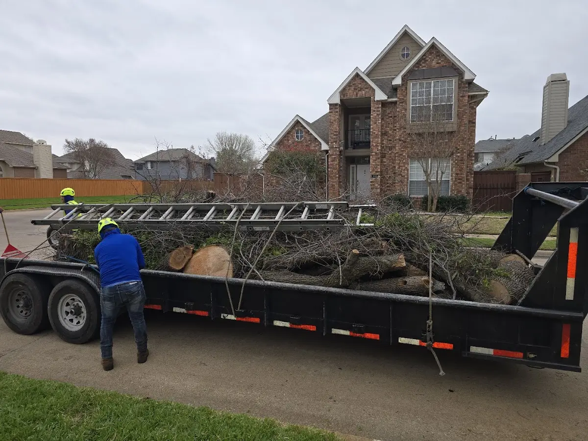 Expert Tree Pest Control with proper safety equipment in Gilbert